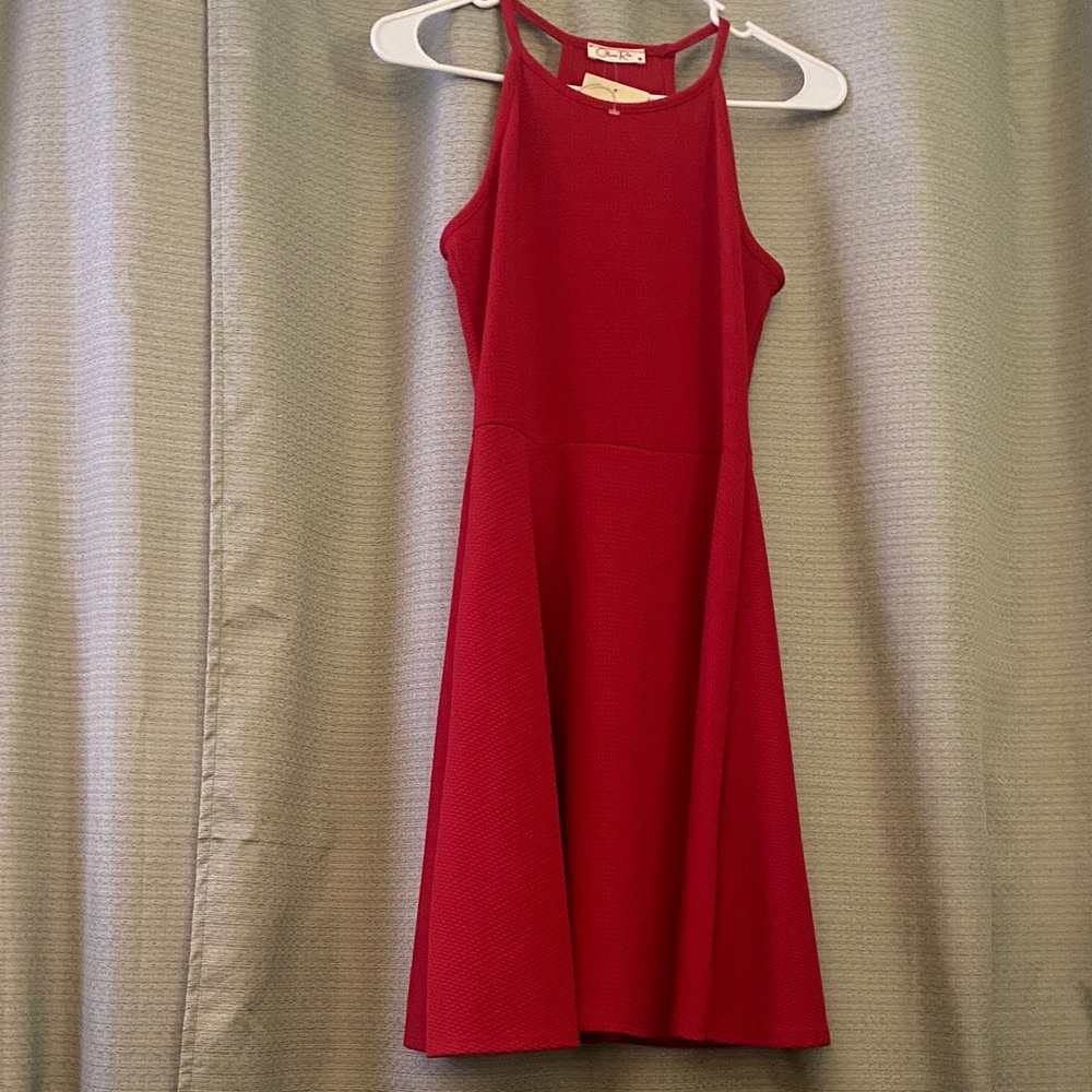 Olivia Rae Vibrant Red Textured Dress